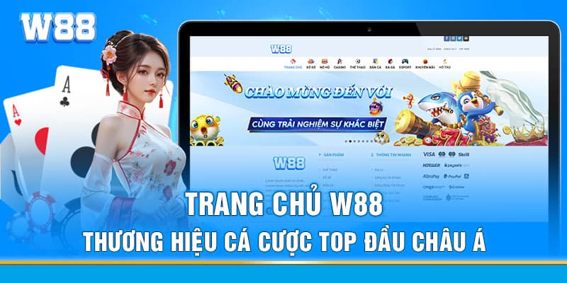 tong-quan-nha-cai-ww88